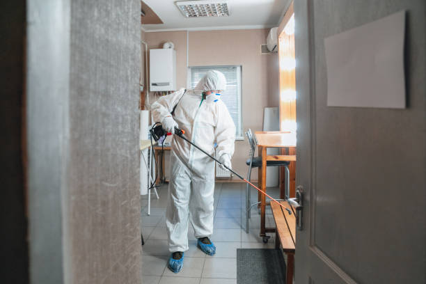 Trusted Shenandoah, LA Mold Removal Experts